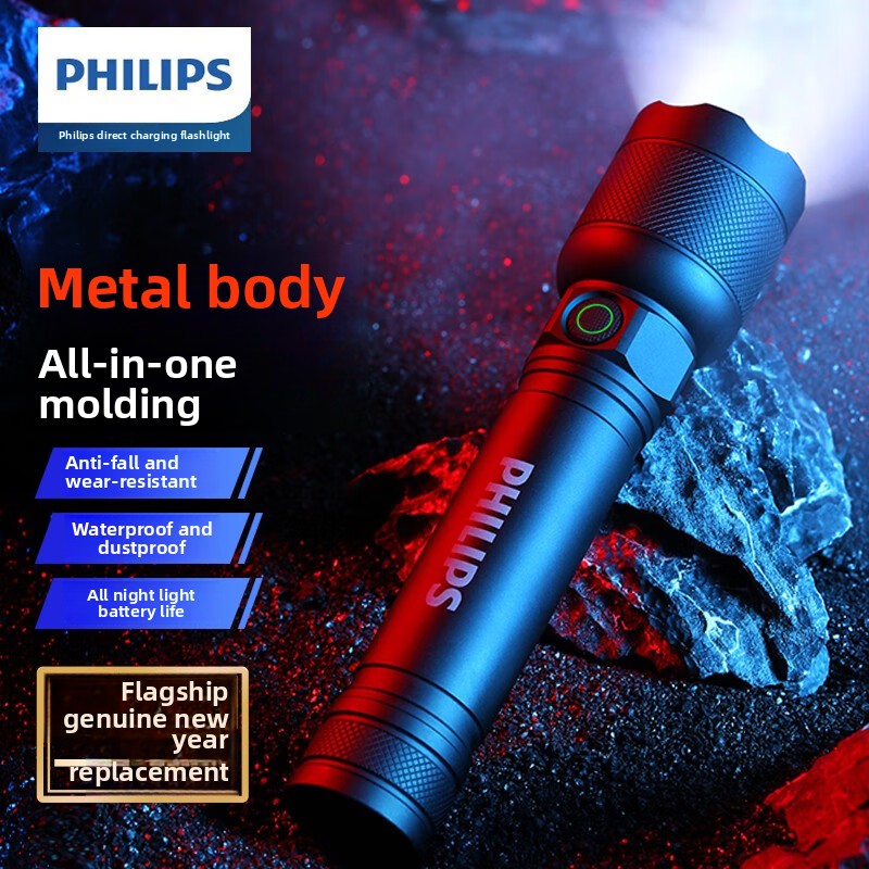 Zinc Outdoor Lighting - 2025 NIEUWE Philips SFL2188 LED-zaklamp van