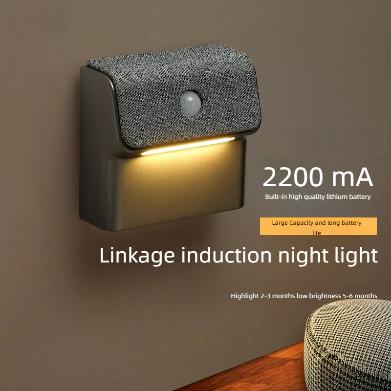Outdoor Lighting Timer Switch - Slimme bewegingssensor wandlamp - 2200mAh USB-C