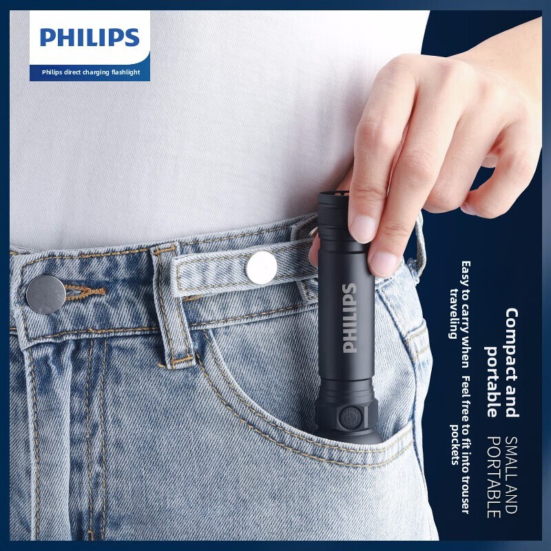 2025 NIEUWE Philips SFL2188 LE - Zinc Outdoor Lighting recensie en prijs